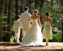 It also serves as a wedding venue. About 50 weddings are organized in the conservatory every year. The venue is warm and beautiful compared to other p